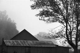 Barn on Barkley Road by Augustus Napier