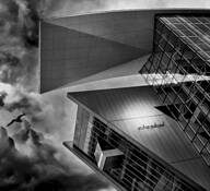 Looking Up by Ralph Sammarco