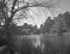 Stow Lake B by Mitsu Yoshikawa