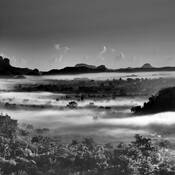 Untitled 1 by Peter Madero III