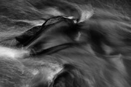 Ephemerality #6 by JW Johnston