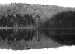 Reflections by Karen Santos