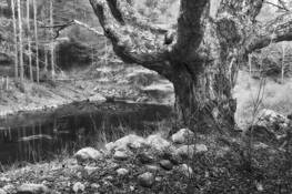 Bostons Water by James M. Hunt