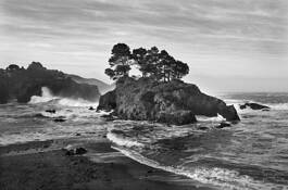 Buckhorn Cove IV by Don McCullough