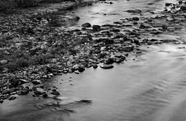 Untitled 9 by Gary Wagner