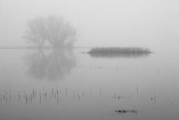 Merced National Wildlife Refuge No. 1 by David L. Hoffman