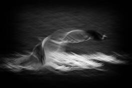 Light Within by Agneta Viklund