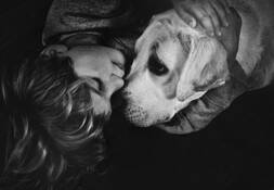 Guard Dog by Nathan Caplan