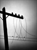 Untitled 01 by Jenn Lawrence