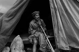 Earthquake Survivor by Mikel Flamm