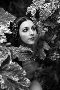 Classic Beauty by Claire Mallett