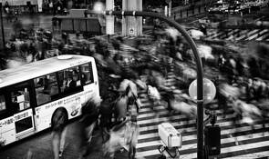 Kosaten by Larry Chan