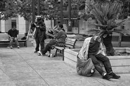 Incognito by Lee Grossman