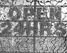 Car Wash 1 by Alan Wood