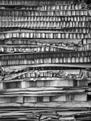 Cardboard by Scott Hoyle