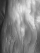 Feminine Cloud by Loretta Lanzisera