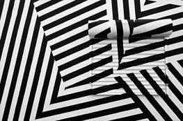 Zebra by Diane DeQuevedo