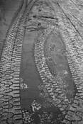 Foot Print of Man by Jim McMahen