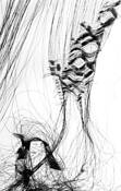 Tattered Tarp # 1 by John Talbert