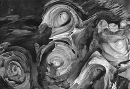 Wave Worn Burls by John D. Wilkins