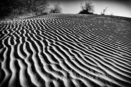 Dunes by Aaron Marko