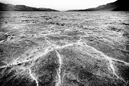 Salt by Aaron Marko