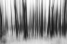 Untitled by Alan Hans