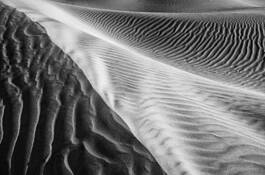 Dune Detail by Ari Plosker