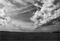 The Way Home by Becky Chapman