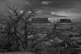 Distance by Thomas E. Silvey