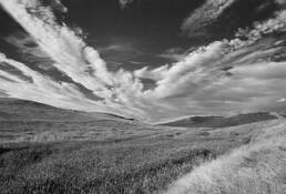 Clouds and Field by Tom Sinclair