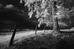 Approaching Storm by Tony Sweet