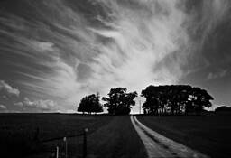 Farm Near Moshava by Warren Grossman