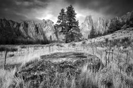 Basalt Boulder and Grass by Wesley Picotte