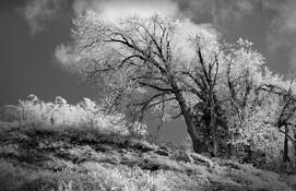 One Day by Youngsook Chung Zhang