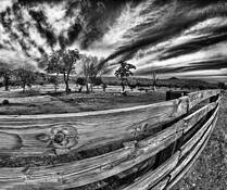 Where the Sidewalk Ends by Robert Oberman