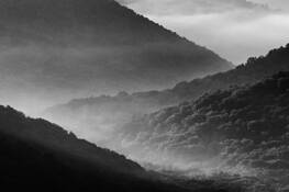 Mountain Sunrise by Rosemary H. Williams