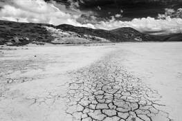 Thirst by Roy C. Kim