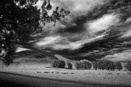 Kahua Ranch by Scott Hoyle