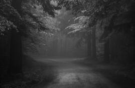 Road Less Traveled by Jane Heater