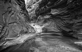 North Canyon by Paul Hetzel