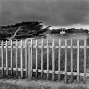 Point Pinos Lighthouse by Philip Earl