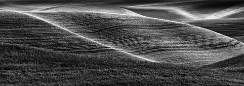 Light at Play by Rachel Schneiderman