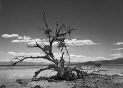 High N Dry by Rik Palm