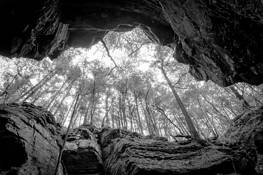 Parfrey's Glen by Michael Knapstein