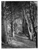 Gateless Gate #1 by Michael Miner