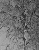 Watery Web by Pat Cornett