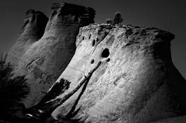 Signal by Lewis Francis