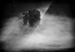 Where the Light Found Me by Mark Seawell