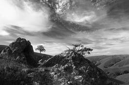 Sight Line by Marshall Gould